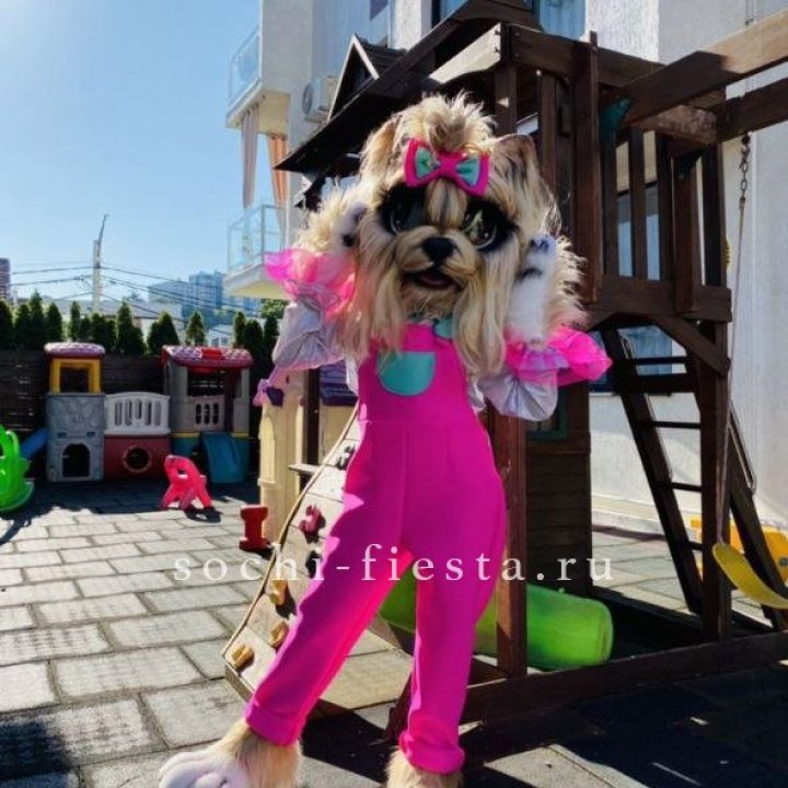 Аниматор Гламурная Собака в Нижнем Новгороде