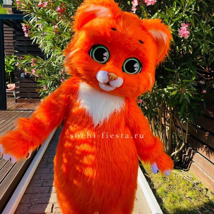 Аниматор Котик в Нижнем Новгороде