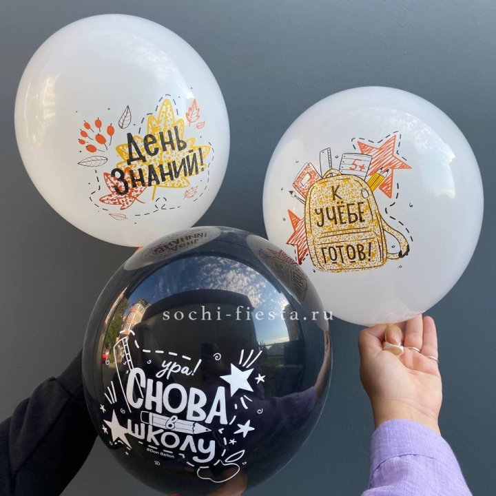 Воздушный шар к 1 сентября в Нижнем Новгороде