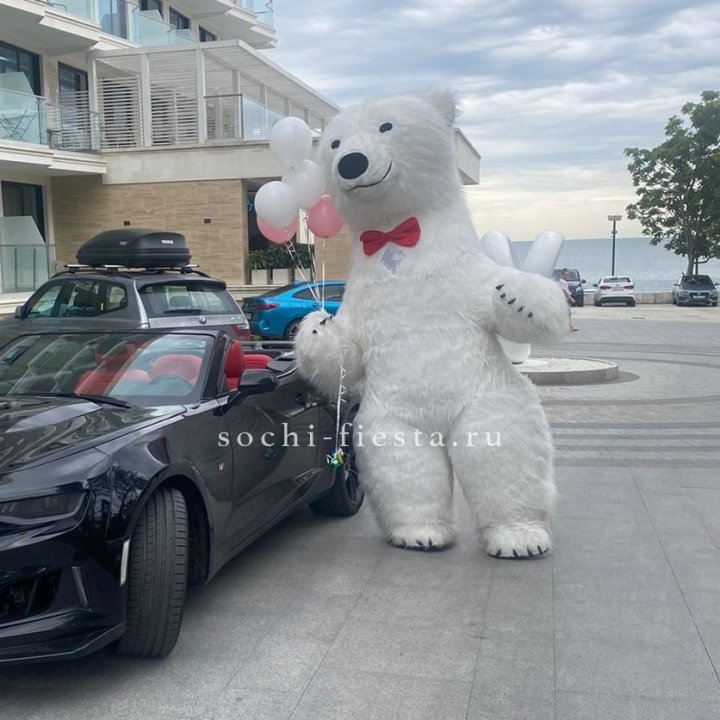 Аниматор Белый Медведь в Нижнем Новгороде