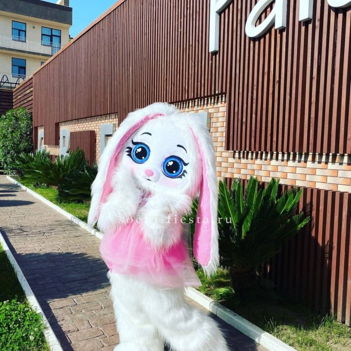 Аниматор Зайка в Нижнем Новгороде