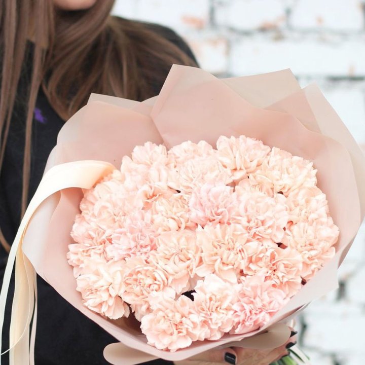 Диантусы №2 в Нижнем Новгороде