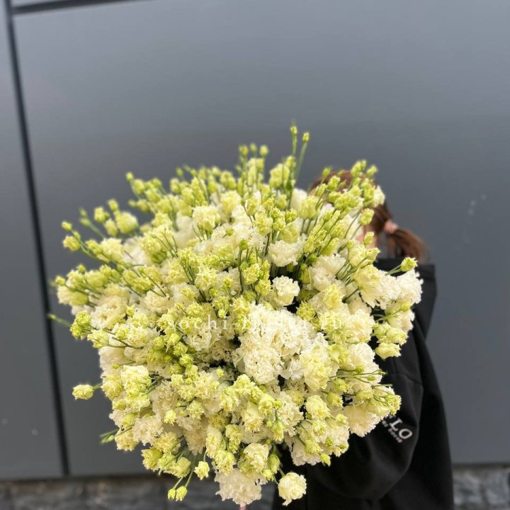 51 белая эустома в Нижнем Новгороде