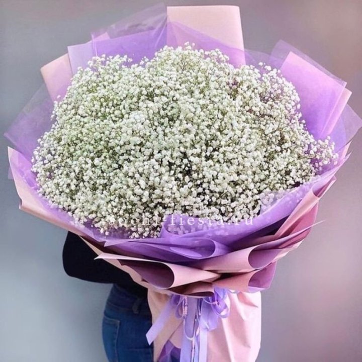 Облако белых гипсофил в Нижнем Новгороде