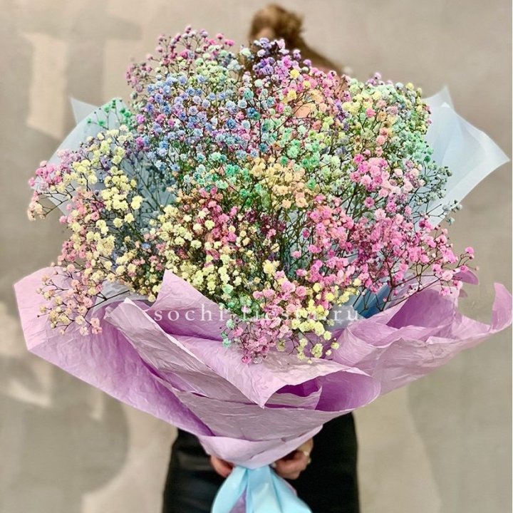 Радужные гипсофилы №2 в Нижнем Новгороде