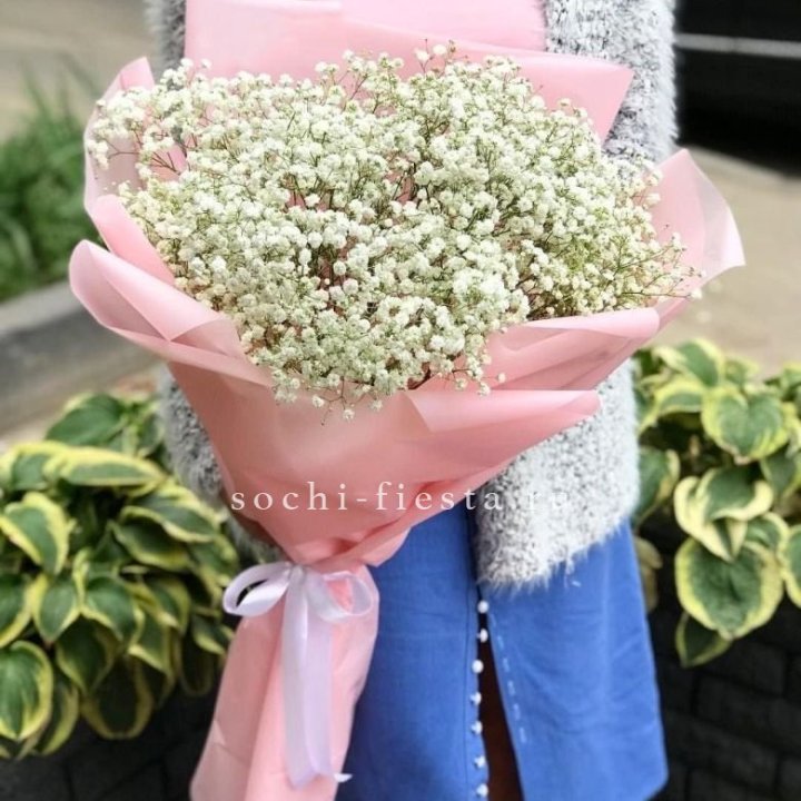 Белоснежные гипсофилы в Нижнем Новгороде