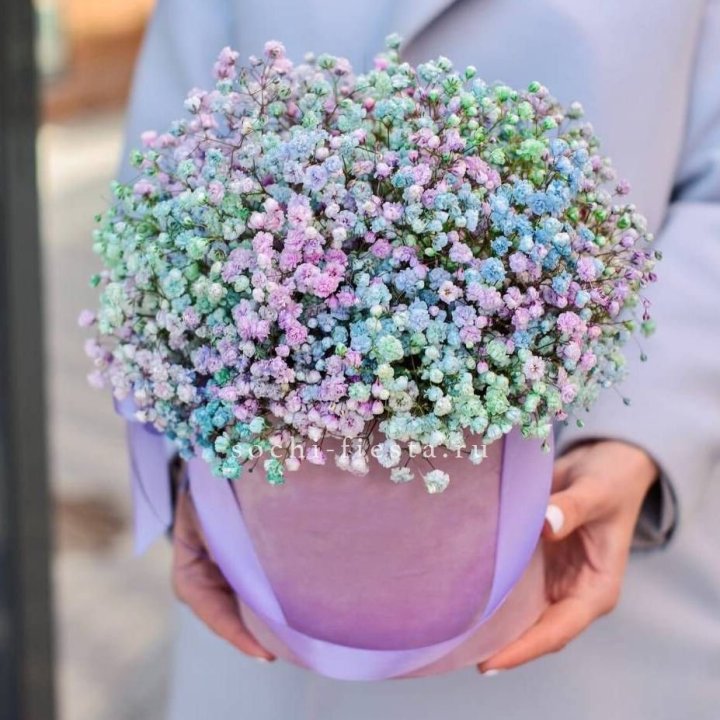 Гипсофилы в шляпной коробке "Кандилайт" в Нижнем Новгороде