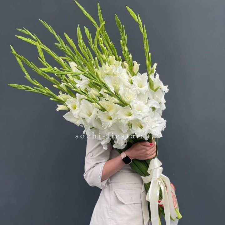 19 белых гладиолусов под ленту в Нижнем Новгороде