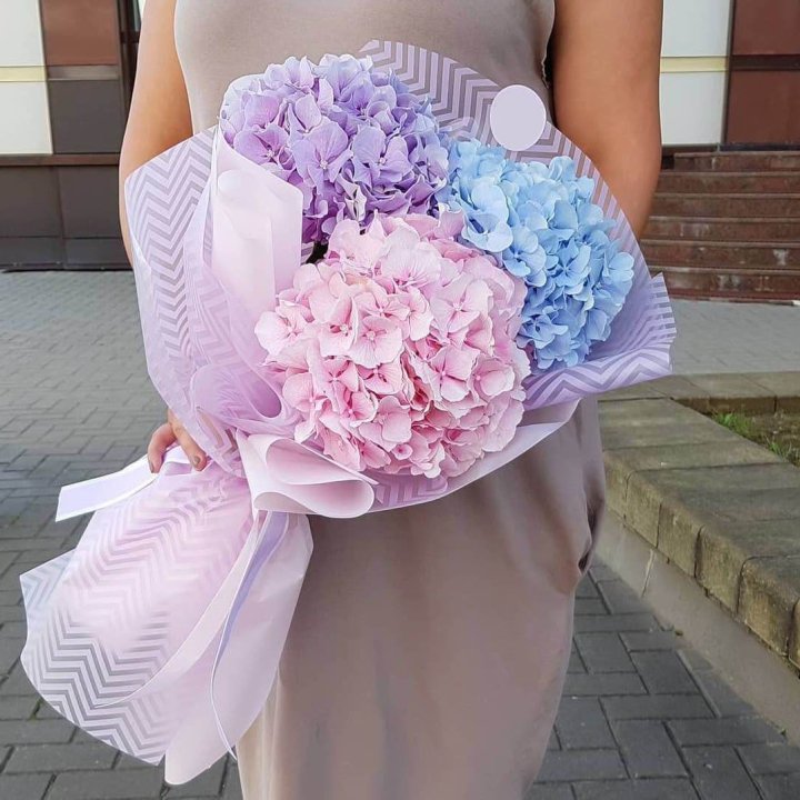 Букет гортензий "Пуф" в Нижнем Новгороде