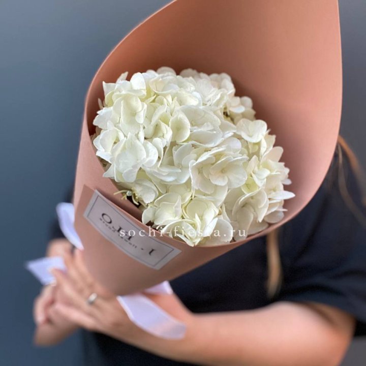Гортензия в конверте в Нижнем Новгороде