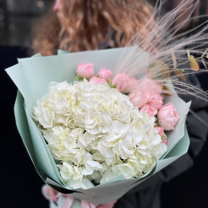 Гортензия "Жасмин" в Нижнем Новгороде