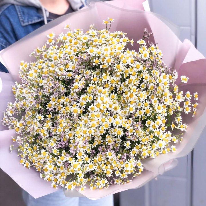 Букет ромашек №1 в Нижнем Новгороде