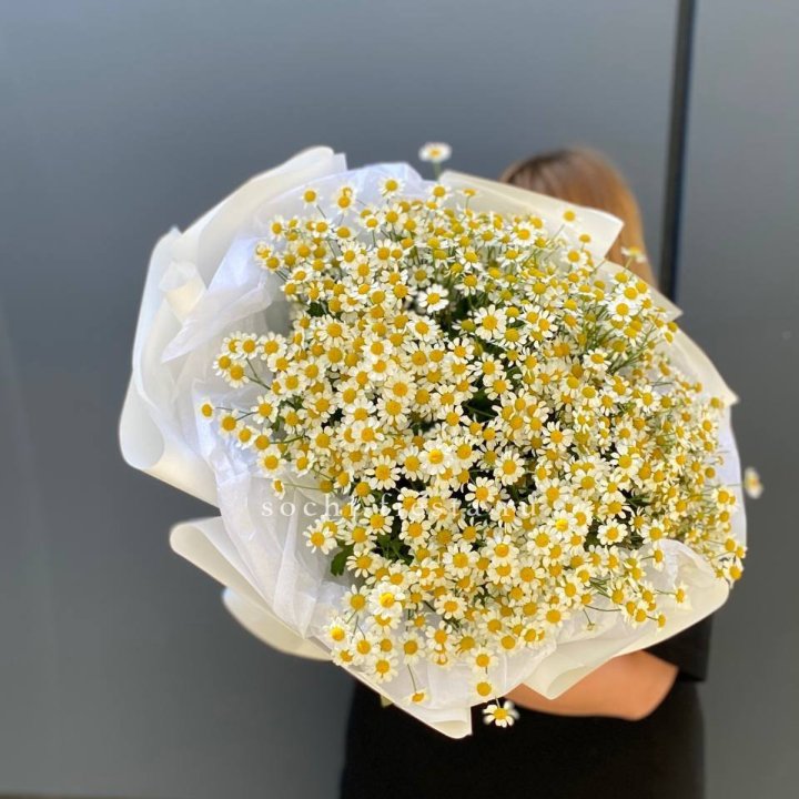 Букет ромашек "Фемели" в Нижнем Новгороде
