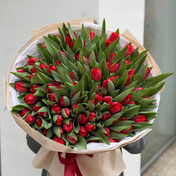 101 красный тюльпан в Нижнем Новгороде