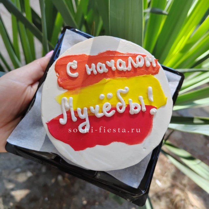 Бенто-торт "С началом учёбы"" в Нижнем Новгороде