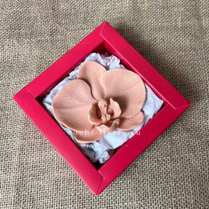 Бельгийский шоколад Орхидея в Нижнем Новгороде