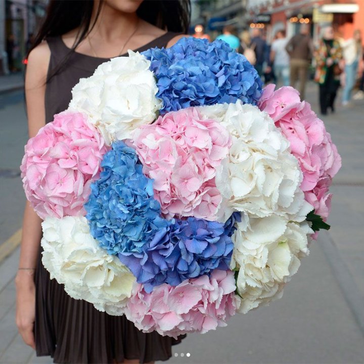 Букет гортензий "Инь-Янь" в Нижнем Новгороде