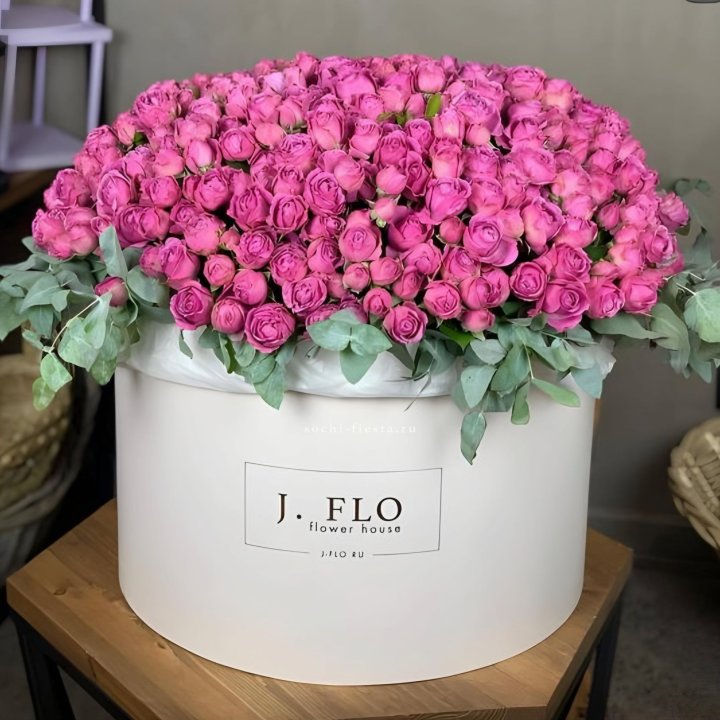 Цилиндр с Мисти Бабблс  в Нижнем Новгороде