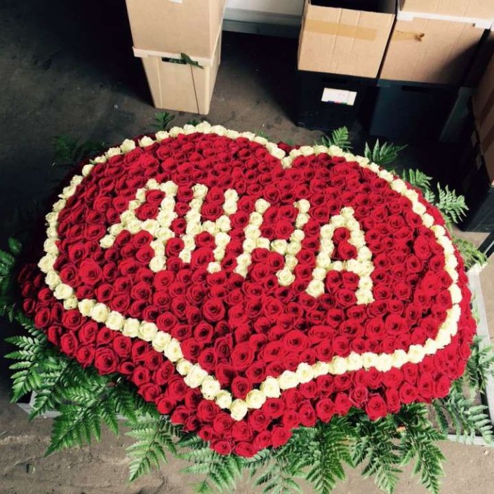 555 роз с именем в Нижнем Новгороде