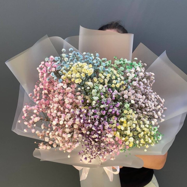 Радужные гипсофилы  в Нижнем Новгороде