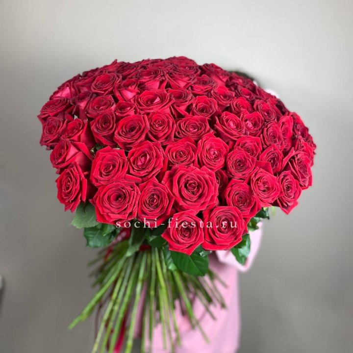 101  голландская роза  в Нижнем Новгороде