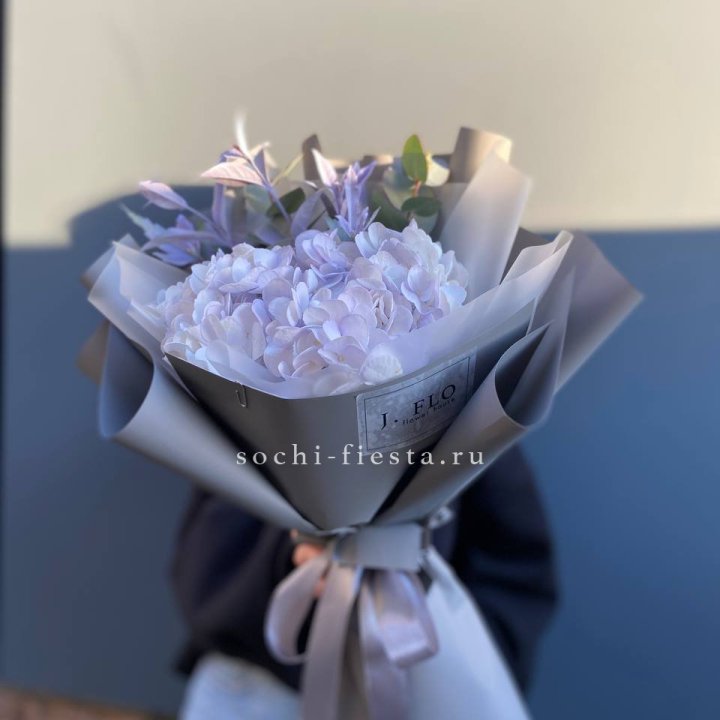Гортензия "Виолета" в Нижнем Новгороде