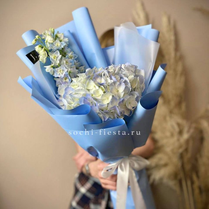 Гортензия "Блю скай" в Нижнем Новгороде