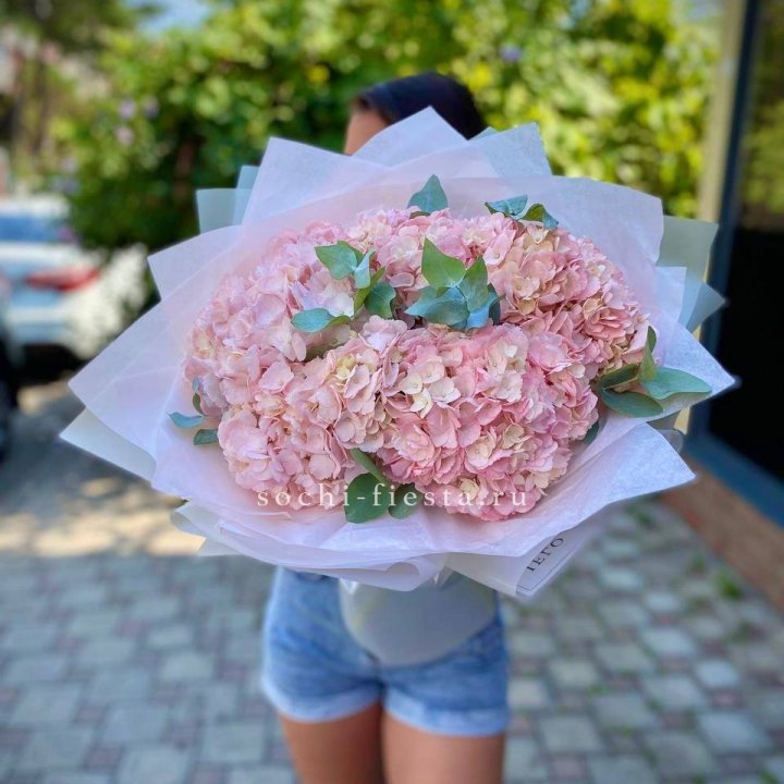 5 розовых гортензий  в Нижнем Новгороде