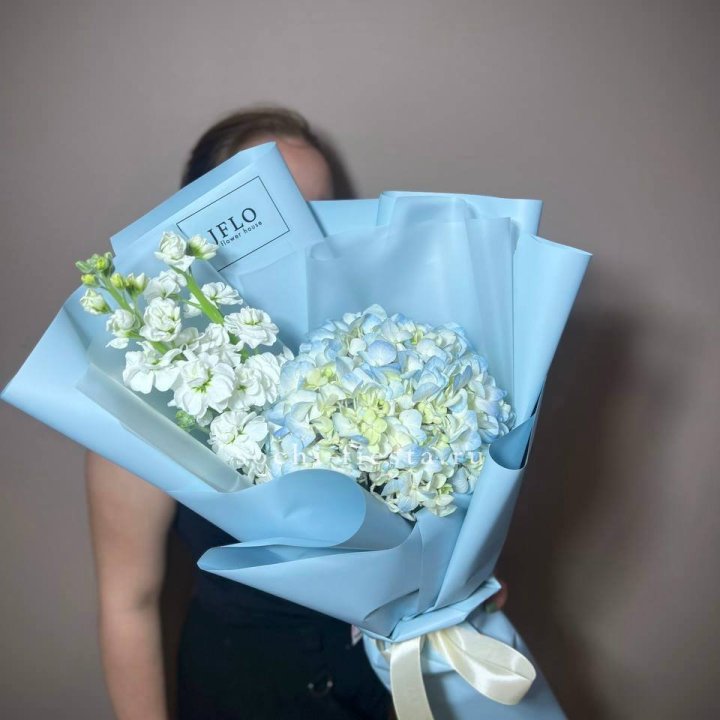 Гортензия голубая с маттиолой в Нижнем Новгороде