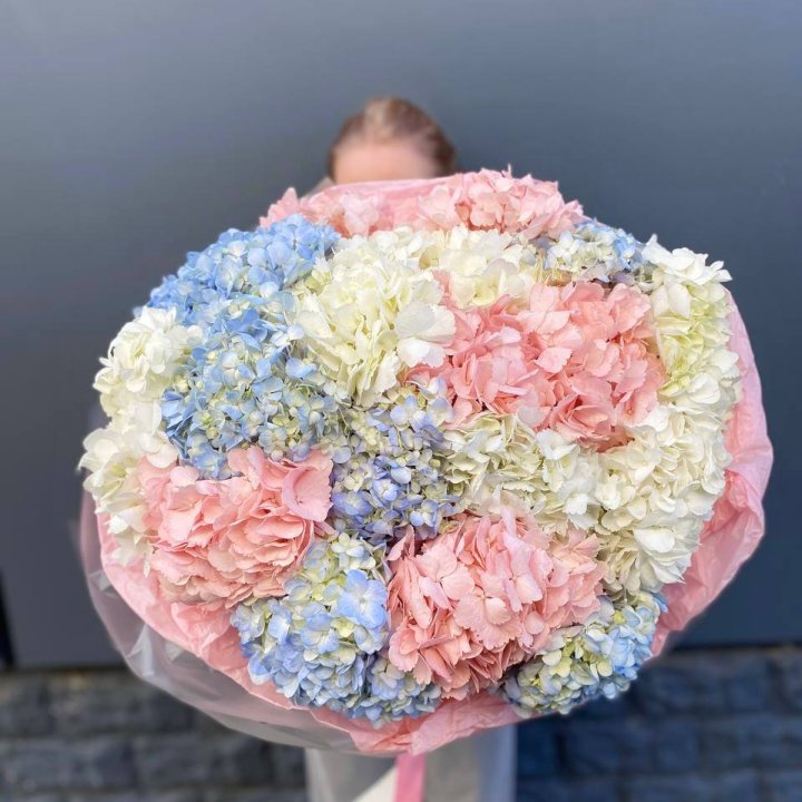 19 гортензий микс в Нижнем Новгороде