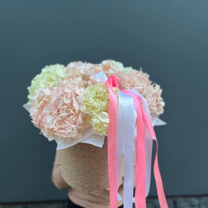 7 гортензий в кашпо в Нижнем Новгороде