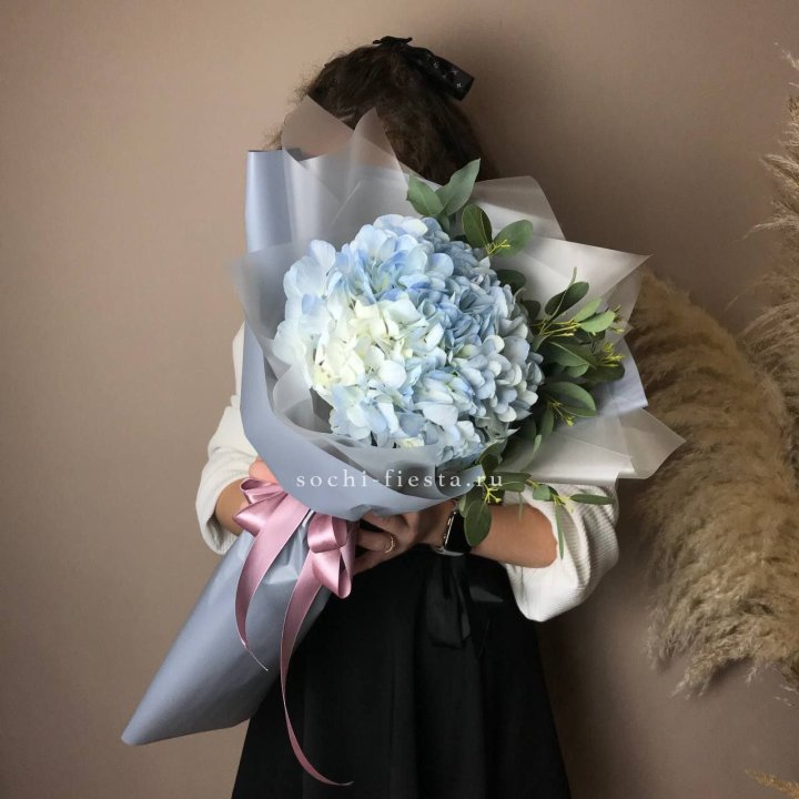 Гортензия Уно в Нижнем Новгороде