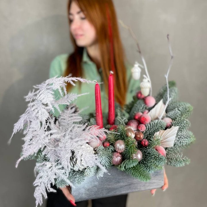 Бокс красный с нобилисом в Нижнем Новгороде