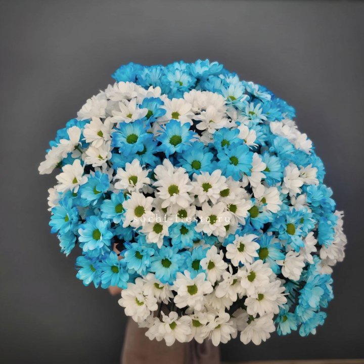  Букет хризантем микс в Нижнем Новгороде