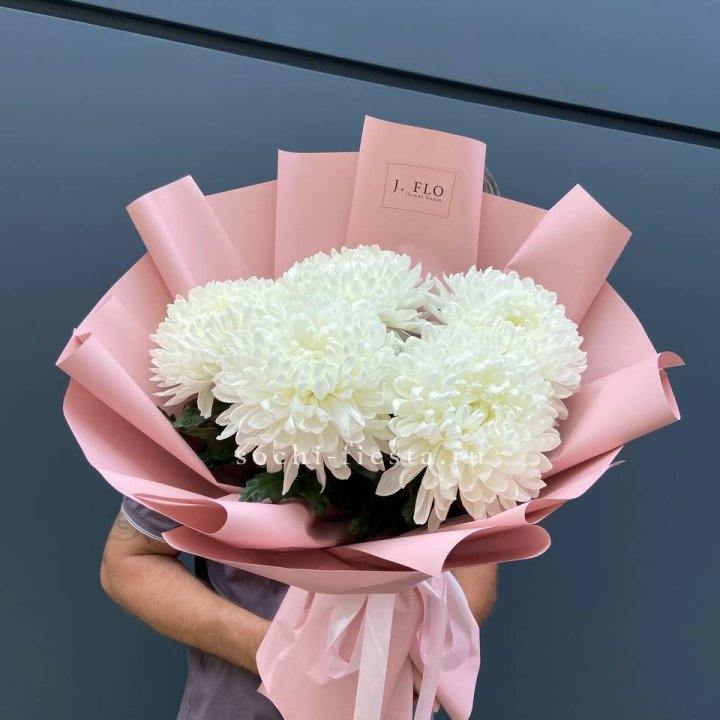 Профитроли №2 в Нижнем Новгороде