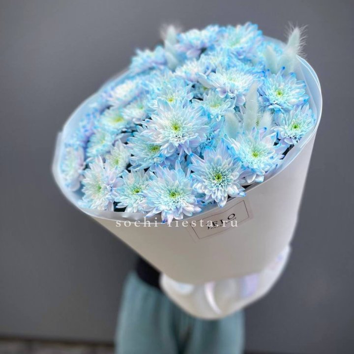  Букет нежно-голубых хризантем  в Нижнем Новгороде