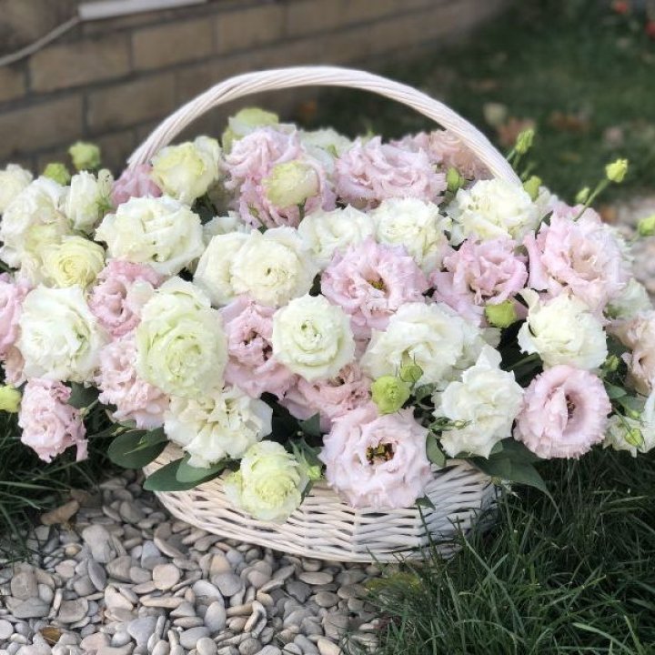 Корзина с эустомой в Нижнем Новгороде