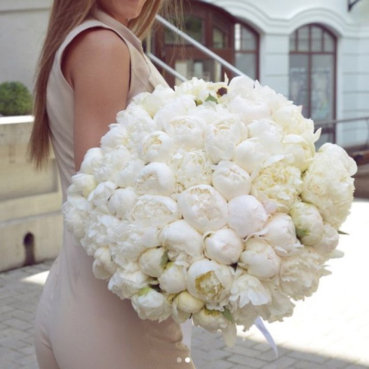 51 белый пион в Нижнем Новгороде