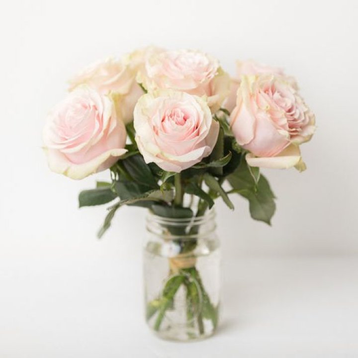 7 кремовых роз в Нижнем Новгороде