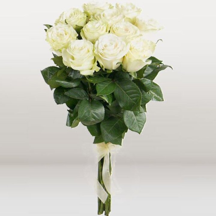 11 белых голландских роз в Нижнем Новгороде