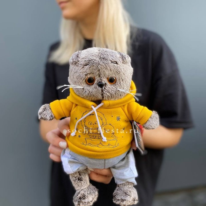 Кот Басик в худи в Нижнем Новгороде