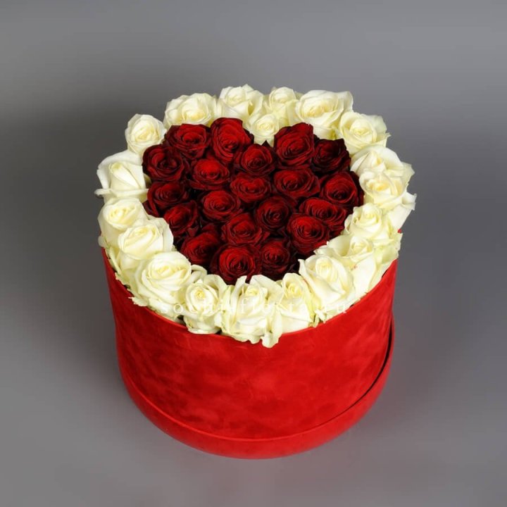 39 красных и белых роз в цилиндре в Нижнем Новгороде