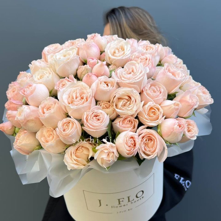 Бомбастик бокс Премьер в Нижнем Новгороде