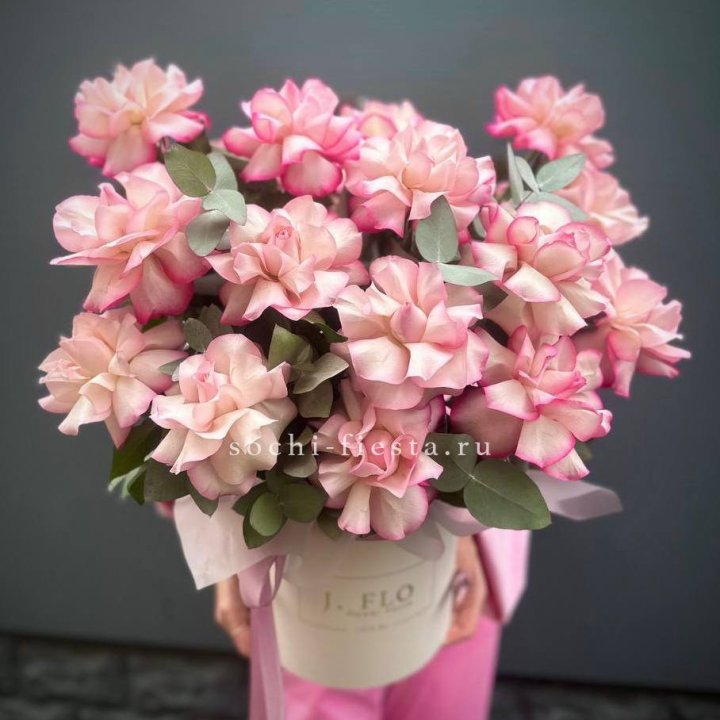 17 Французских  роз Венди в боксе в Нижнем Новгороде