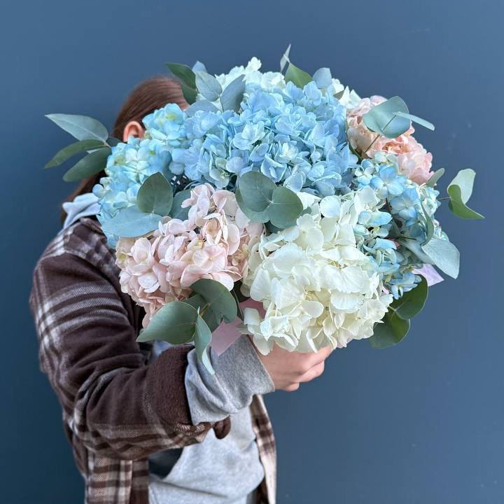 Гортензии в коробочке в Нижнем Новгороде