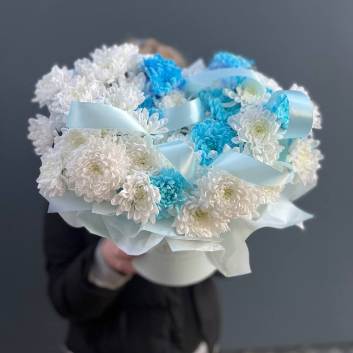 Хризнтемы в боксе в Нижнем Новгороде