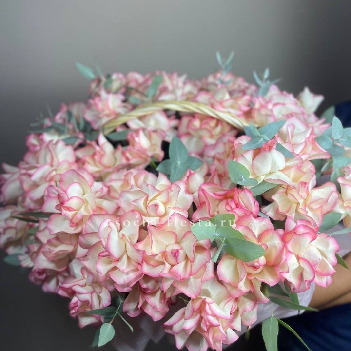 51 джумилия  в корзине   в Нижнем Новгороде