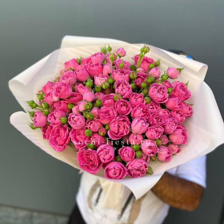 Мисти Баблс 35шт в Нижнем Новгороде