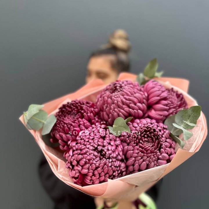 Хризантемы  Бигуди  в Нижнем Новгороде