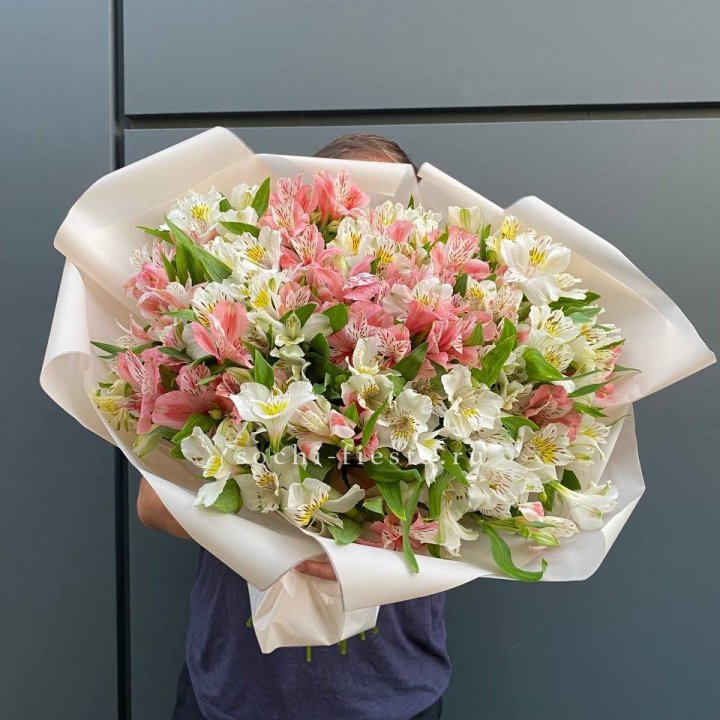 39 альстромерий в Нижнем Новгороде